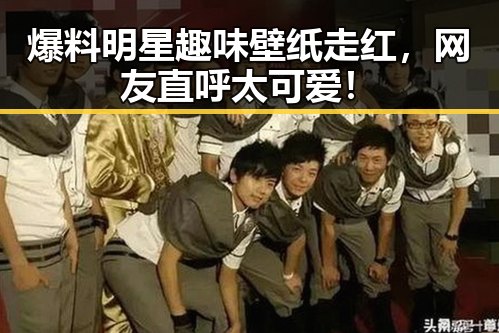 爆料明星趣味壁纸走红，网友直呼太可爱！