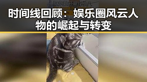 时间线回顾：娱乐圈风云人物的崛起与转变